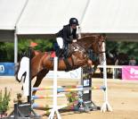 CABALLO DE DEPORTE ESPAÑOL ALAZÁN DE COMPLETOS
