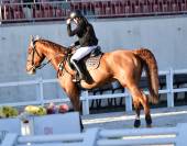 CABALLO DE DEPORTE ESPAÑOL ALAZÁN DE COMPLETOS