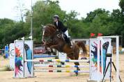 CABALLO DE DEPORTE ESPAÑOL ALAZÁN DE COMPLETOS