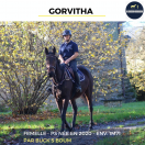 MAGNIFIQUE JUMENT - GORVITHA - 5 ANS 