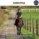 MAGNIFIQUE JUMENT - GORVITHA - 5 ANS 