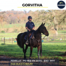 MAGNIFIQUE JUMENT - GORVITHA - 5 ANS 