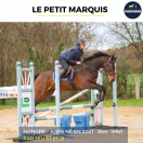 SUPERBE HONGRE - LE PETIT MARQUIS - 4 ANS 