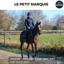 SUPERBE HONGRE - LE PETIT MARQUIS - 4 ANS 