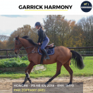 MAGNIFIQUE HONGRE - GARRICK HARMONY - 7 ANS 