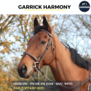 MAGNIFIQUE HONGRE - GARRICK HARMONY - 7 ANS 