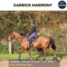 MAGNIFIQUE HONGRE - GARRICK HARMONY - 7 ANS 