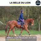 MAGNIFIQUE JUMENT - LA BELLE DU LION - 4 ANS 