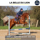 MAGNIFIQUE JUMENT - LA BELLE DU LION - 4 ANS 