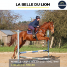 MAGNIFIQUE JUMENT - LA BELLE DU LION - 4 ANS 