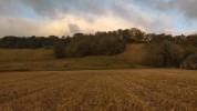 Corps de ferme avec 20 ha de terres agricoles