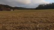 Corps de ferme avec 20 ha de terres agricoles