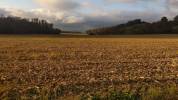 Corps de ferme avec 20 ha de terres agricoles