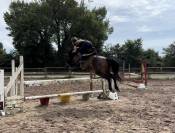 À vendre ponette PFS 5 ans 