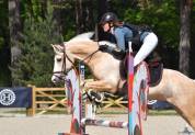 A LOUER TRES RARE OPPORTUNITE, EXCELLENT PONEY DE SPORT