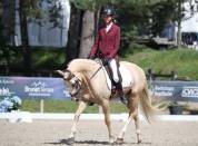 A LOUER TRES RARE OPPORTUNITE, EXCELLENT PONEY DE SPORT