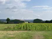 Propriété de 17 ha avec 2 bâtiments agricoles