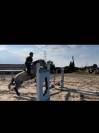 Recherche demi pension 