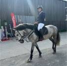 Recherche demi pension 