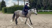 Recherche demi pension 