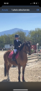 Super poney de CSO pour enfant (P4/P3) , ballade-cross