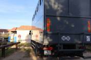 Camion PL transport chevaux