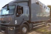 Camion PL transport chevaux