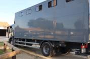 Camion PL transport chevaux