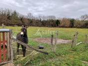 AUTHENTIQUE FERME LANDAISE AVEC AIRIAL DE 2 HA AU COEUR DU PARC