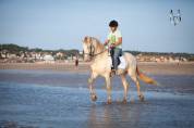 Cheval Pure Race Espagnole 3 ans crème + perle
