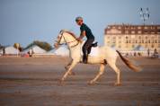 Cheval Pure Race Espagnole 3 ans crème + perle