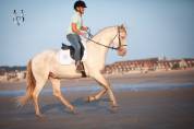 Cheval Pure Race Espagnole 3 ans crème + perle