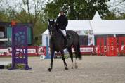 Cheval de sport, niveau 135, x Conthargos