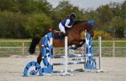 Cheval de sport CSO