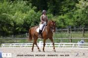 pensions pour chevaux