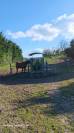 Petite ferme équestre, Mont du lyonnais sud