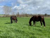 Propriété équestre Lot et Garonne, limitrophe Gironde