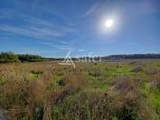 Propriété AGRICOLE sur 20 hectares