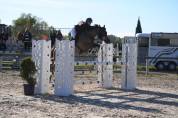 super ponette de 8 ans classée sur AS2 