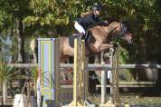 super ponette de 8 ans classée sur AS2 