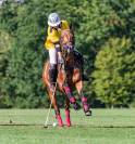 Jument de polo (11 ans) - horse-ball, loisirs, balades