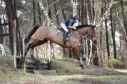 Cavalière enseignante au service du Cheval