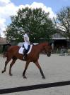 Cavalière enseignante au service du Cheval