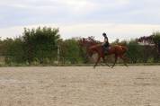 Cavalière enseignante au service du Cheval