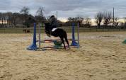 Poney B 5 ans 