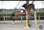 cheval de CSO 115cm