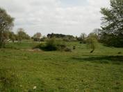 Prairie Cormeilles-en-Vexin