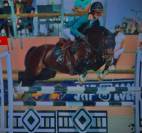 Súper poney de CSO welsh D 