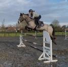 Poney de sport de 6ans 
