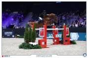 Cheval de sport - CSO - Potentiel 150 cm et plus  